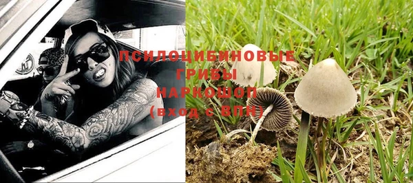молекула духа Переславль-Залесский