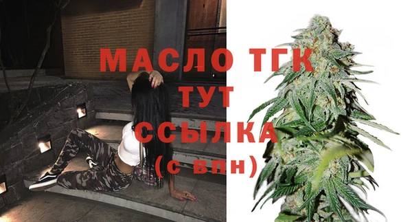 молекула духа Переславль-Залесский