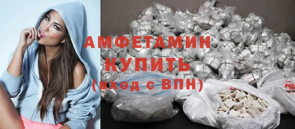 2c-b Пестово