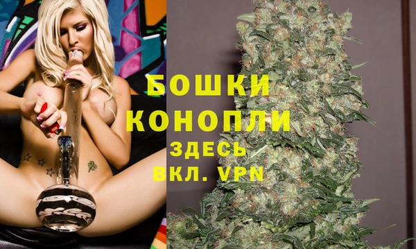молекула духа Переславль-Залесский