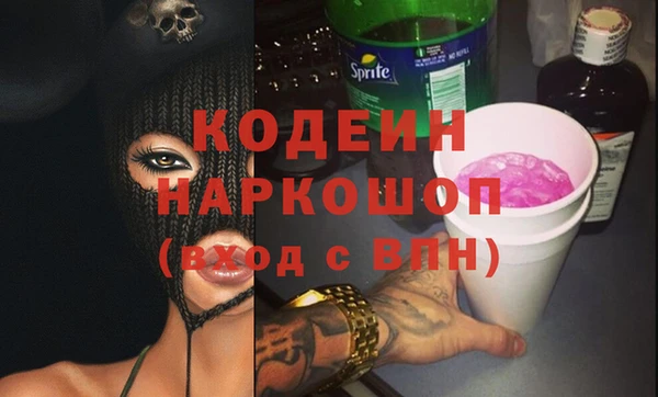 молекула духа Переславль-Залесский