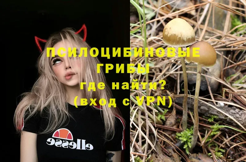 Галлюциногенные грибы MAGIC MUSHROOMS  Куса 